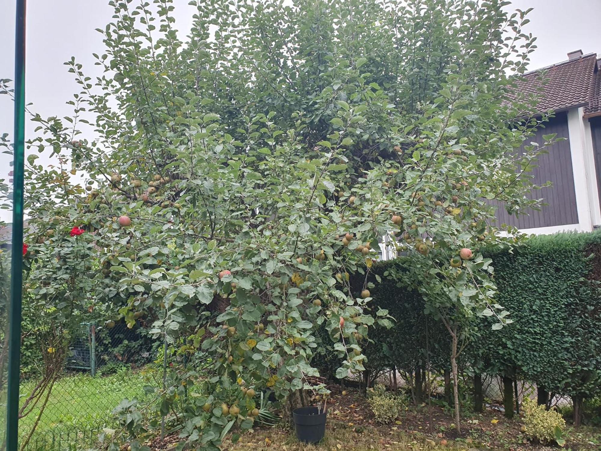 80M2 Garten-Duplexwohnung In Altperlach München Buitenkant foto